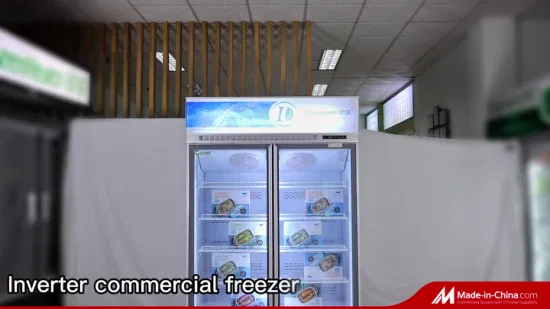Оптовая торговля динамическим охлаждением двойной прозрачной стеклянной дверью холодильника с морозильной камерой с инверторным компрессором